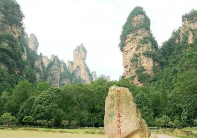 走湘西——張家界、鳳凰古城游記(一)